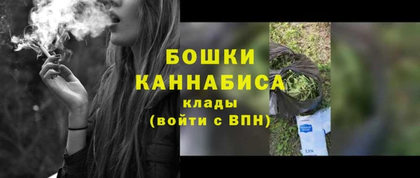 мет Карпинск