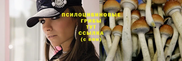 ешки Касимов