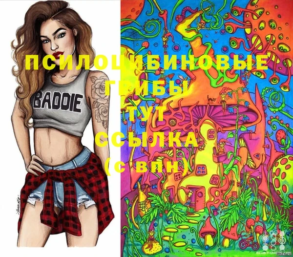 мет Карпинск