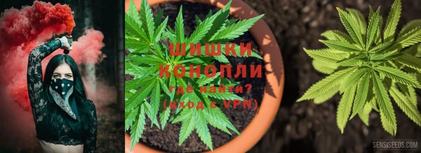 мет Карпинск