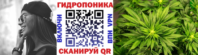 Бошки Шишки конопля  Купить где  Медынь 
